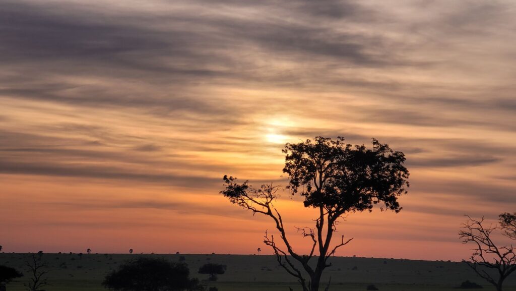 Top 5 Must-Do Experiences in Uganda