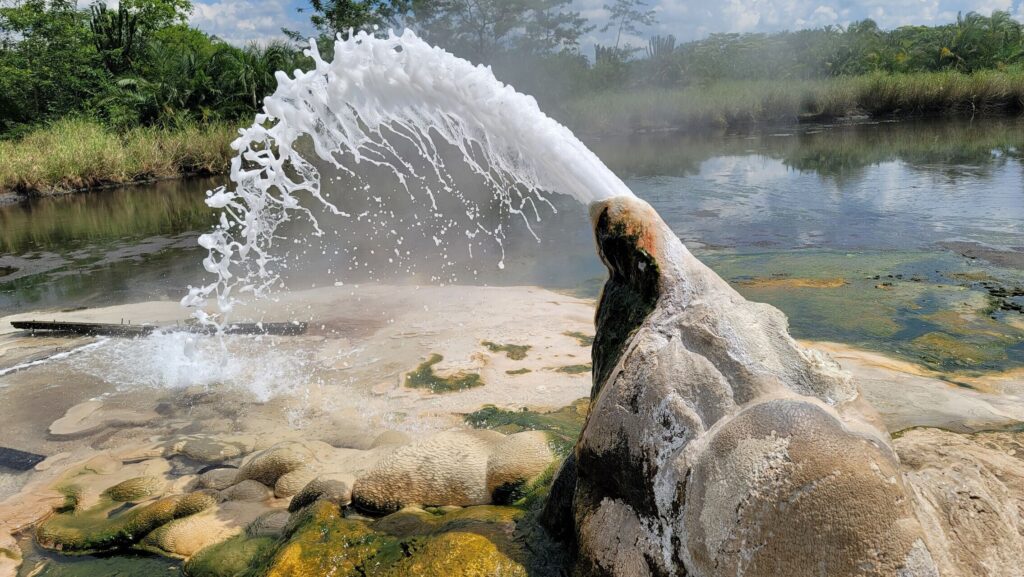 Why Uganda is the Pearl of Africa for Safari Lovers